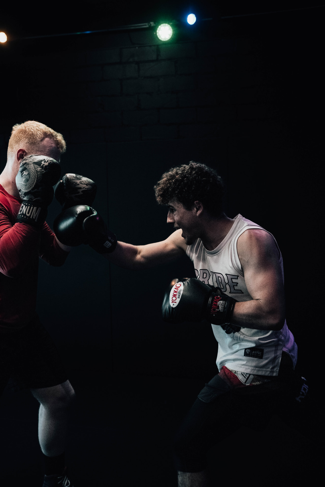 Sparring-Szene im Boxring bei DGMMA